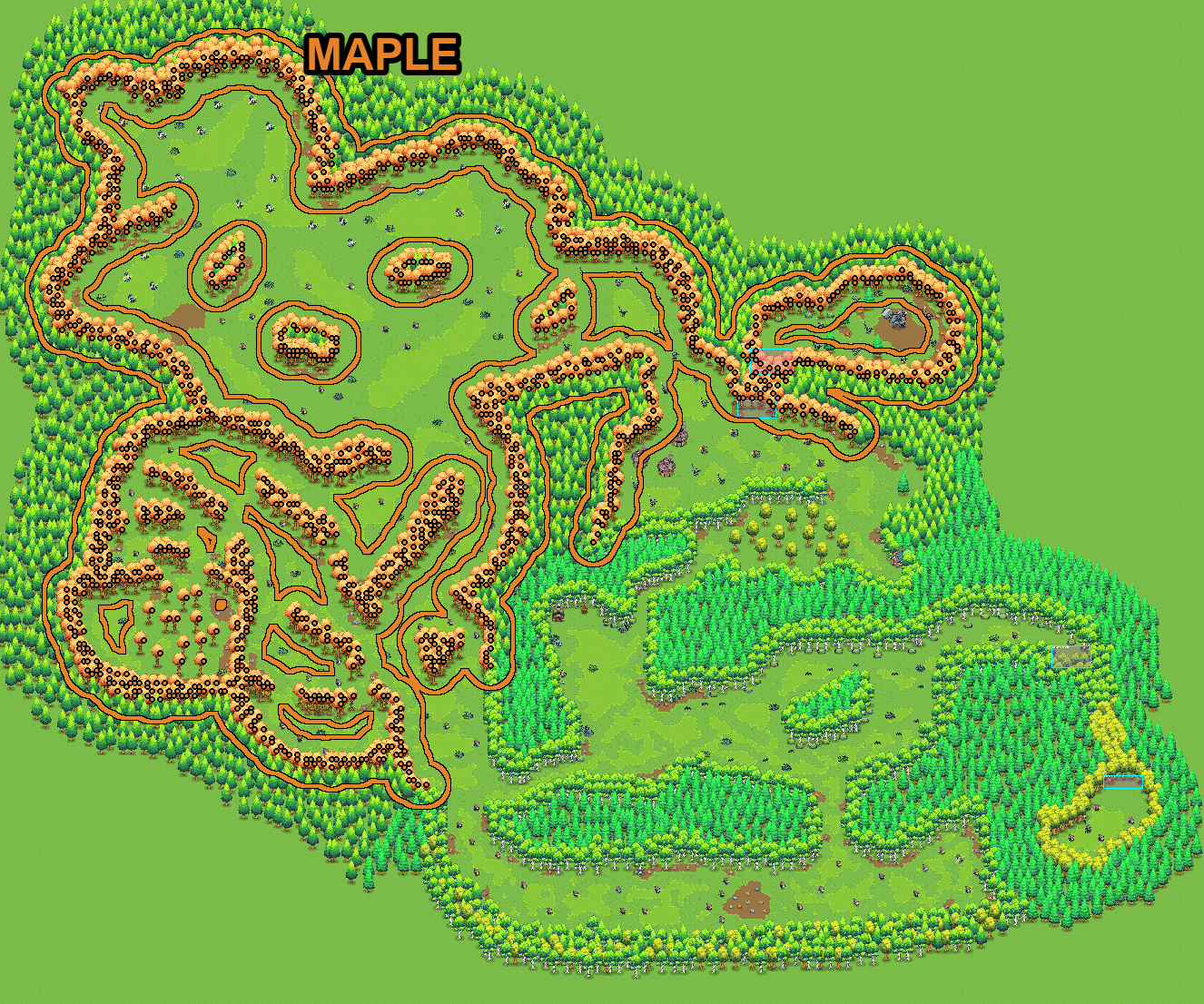 Maple trees