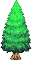 Pine Tree